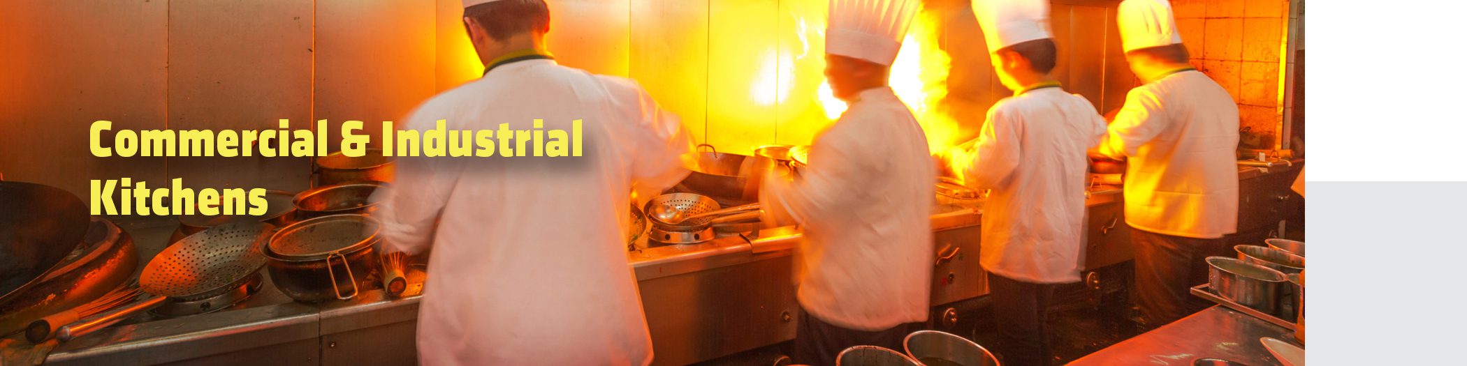 Row of chefs cooking in a commercial kitchen